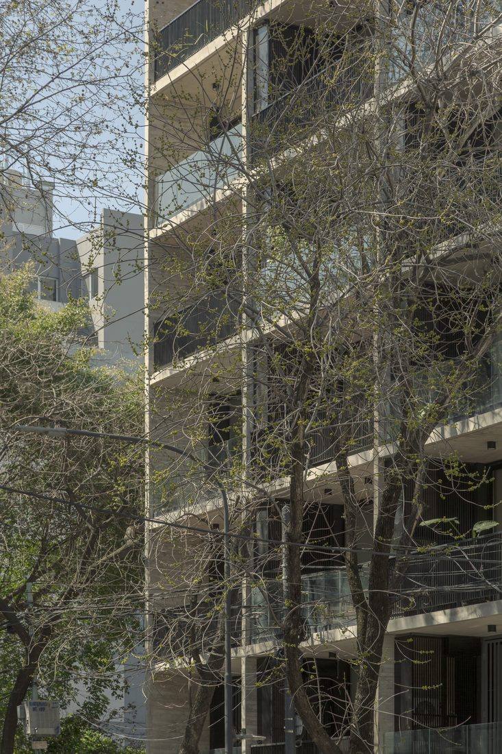 El edificio desde la vereda, entre los árboles de la calle